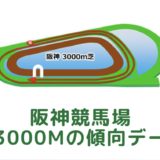 阪神競馬場｜芝3000mの傾向データ（血統・枠・騎手・タイム・人気・脚質）