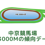 中京競馬場｜芝3000mの傾向データ（血統・枠・騎手・タイム・人気・脚質）