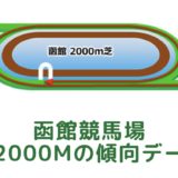 函館競馬場｜芝2000mの傾向データ（血統・枠・騎手・タイム・人気・脚質）